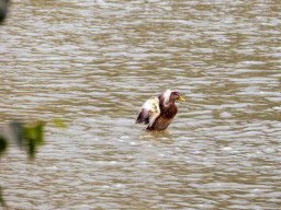 Fotowalk Pfarrwerfen - Bahnhof Werfen